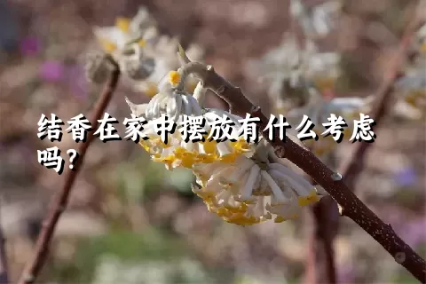 结香在家中摆放有什么考虑吗？