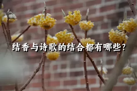 结香与诗歌的结合都有哪些？