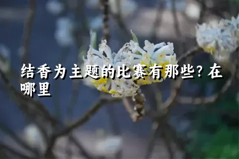 结香为主题的比赛有那些？在哪里