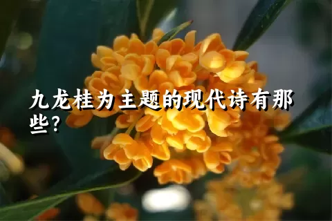 九龙桂为主题的现代诗有那些？