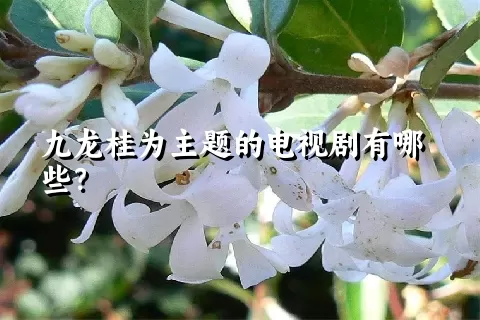 九龙桂为主题的电视剧有哪些？