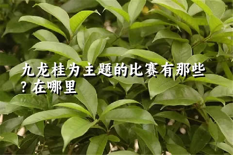 九龙桂为主题的比赛有那些？在哪里