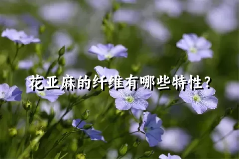 花亚麻的纤维有哪些特性？