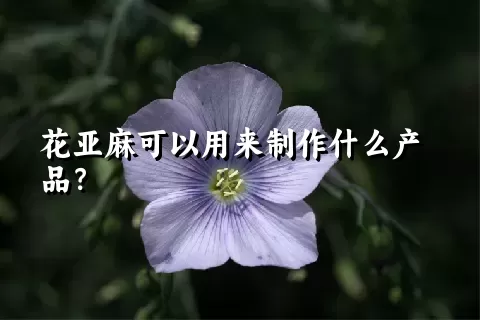 花亚麻可以用来制作什么产品？