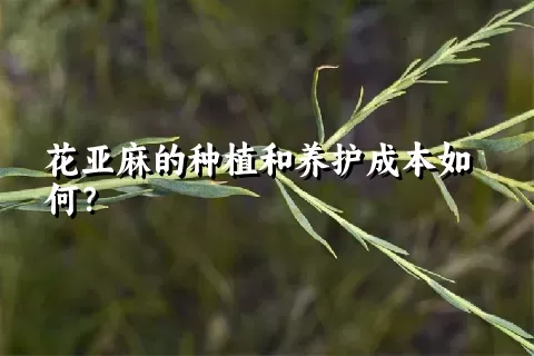 花亚麻的种植和养护成本如何？