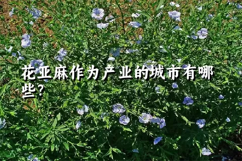 花亚麻作为产业的城市有哪些？