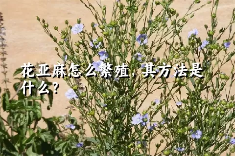 花亚麻怎么繁殖，其方法是什么？