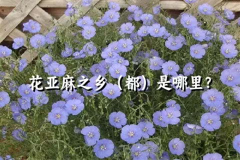 花亚麻之乡（都）是哪里？