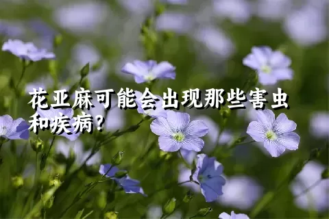 花亚麻可能会出现那些害虫和疾病？