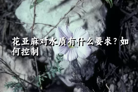 花亚麻对水质有什么要求？如何控制