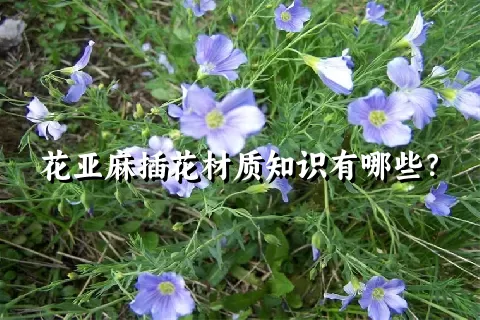 花亚麻插花材质知识有哪些？