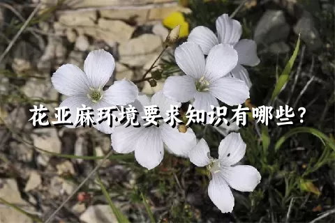 花亚麻环境要求知识有哪些？