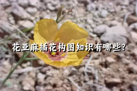 花亚麻插花构图知识有哪些？