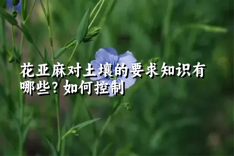 花亚麻对土壤的要求知识有哪些？如何控制