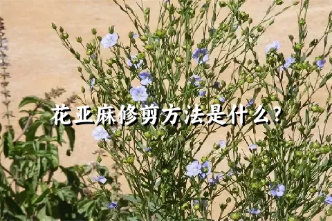 花亚麻修剪方法是什么？