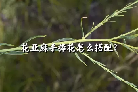 花亚麻手捧花怎么搭配？