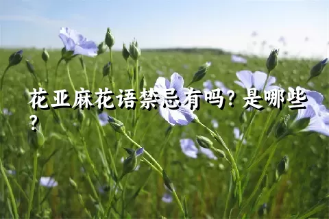 花亚麻花语禁忌有吗？是哪些？