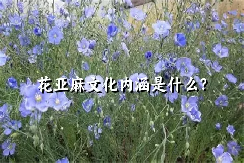 花亚麻文化内涵是什么？