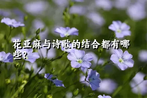 花亚麻与诗歌的结合都有哪些？