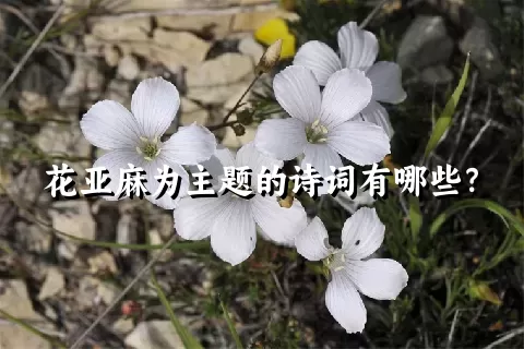 花亚麻为主题的诗词有哪些？