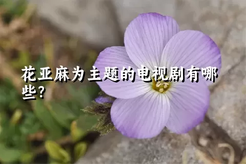 花亚麻为主题的电视剧有哪些？