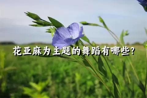 花亚麻为主题的舞蹈有哪些？