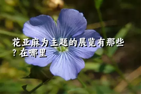 花亚麻为主题的展览有那些？在哪里