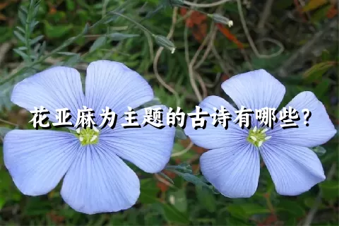 花亚麻为主题的古诗有哪些？