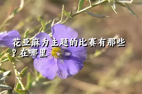 花亚麻为主题的比赛有那些？在哪里