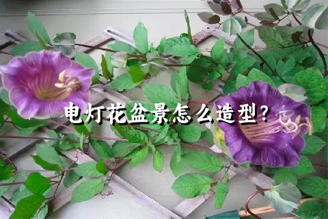 电灯花盆景怎么造型？