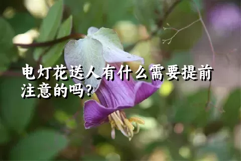 电灯花送人有什么需要提前注意的吗？