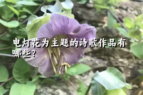 电灯花为主题的诗歌作品有哪些？