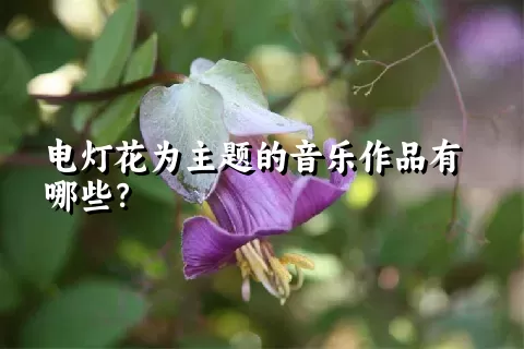 电灯花为主题的音乐作品有哪些？