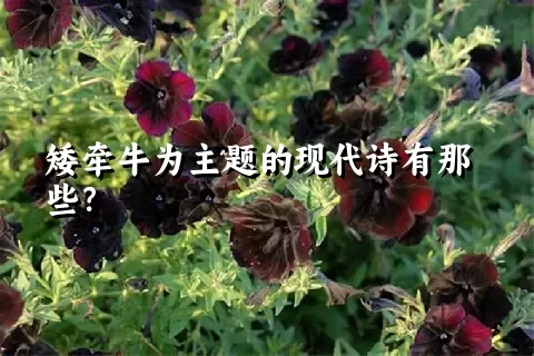 矮牵牛为主题的现代诗有那些？