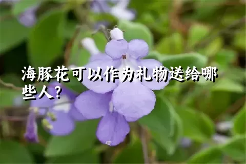 海豚花可以作为礼物送给哪些人？