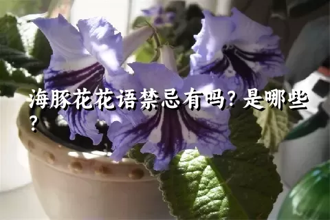 海豚花花语禁忌有吗？是哪些？