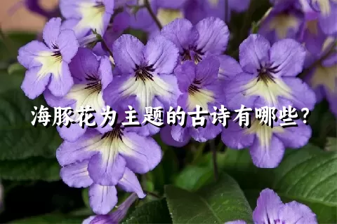 海豚花为主题的古诗有哪些？