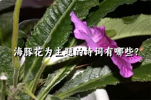 海豚花为主题的诗词有哪些？