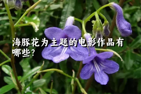 海豚花为主题的电影作品有哪些？