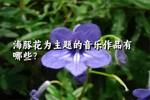 海豚花为主题的音乐作品有哪些？