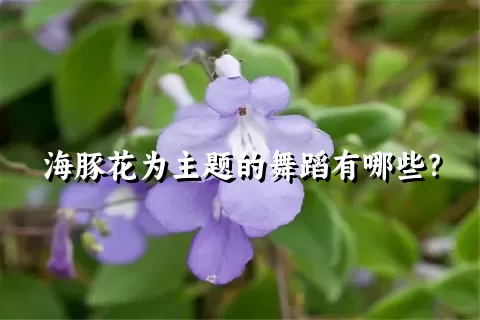 海豚花为主题的舞蹈有哪些？