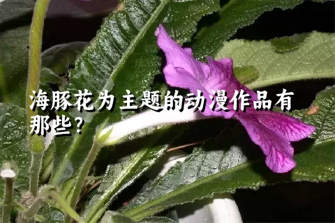 海豚花为主题的动漫作品有那些？