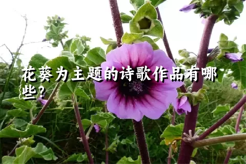 花葵为主题的诗歌作品有哪些？