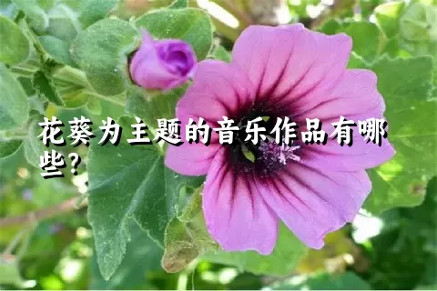 花葵为主题的音乐作品有哪些？