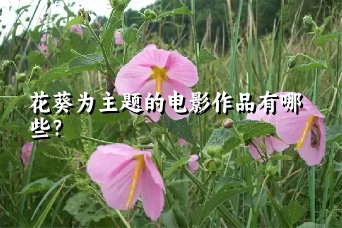 花葵为主题的电影作品有哪些？