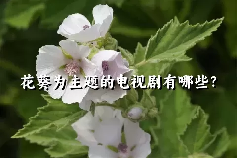 花葵为主题的电视剧有哪些？