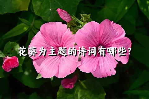 花葵为主题的诗词有哪些？