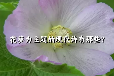 花葵为主题的现代诗有那些？