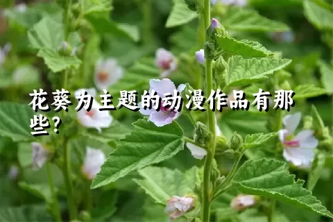 花葵为主题的动漫作品有那些？