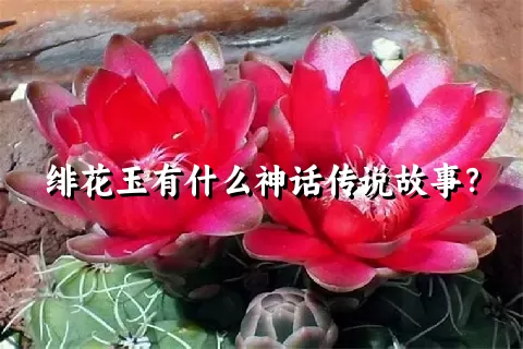 绯花玉有什么神话传说故事？